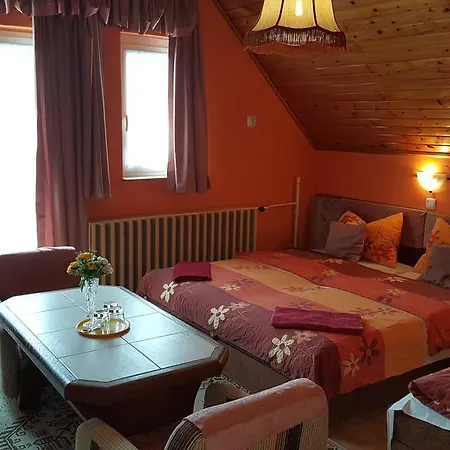 Oda ve Kahvaltı Rozsa Panzio 3*