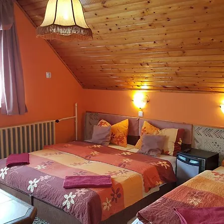 Oda ve Kahvaltı Rozsa Panzio Balatonfüred